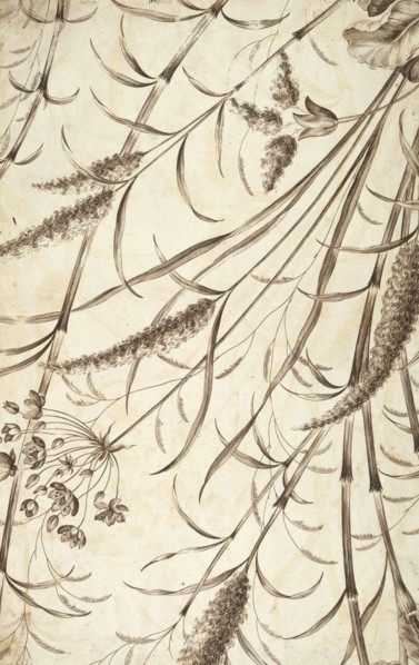 Printed textile. England, 18th-19th century