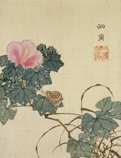 Snail, Pink Flower and Foliage, by Shasai. Japan, 19th century