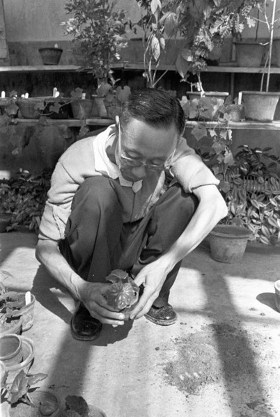 Pu Yi dans un jardin à Pékin, septembre 1961