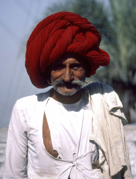 Rajasthani shepherd on the road to Bambora, India