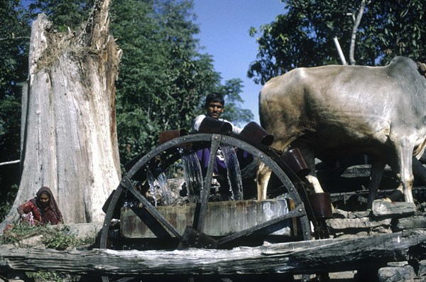 Homme faisant tourner une roue hydraulique, Inde