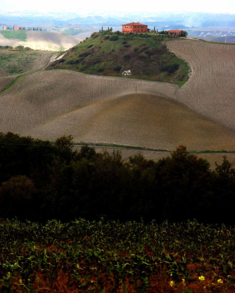 Paysage près de Sienne, Toscane, Italie.