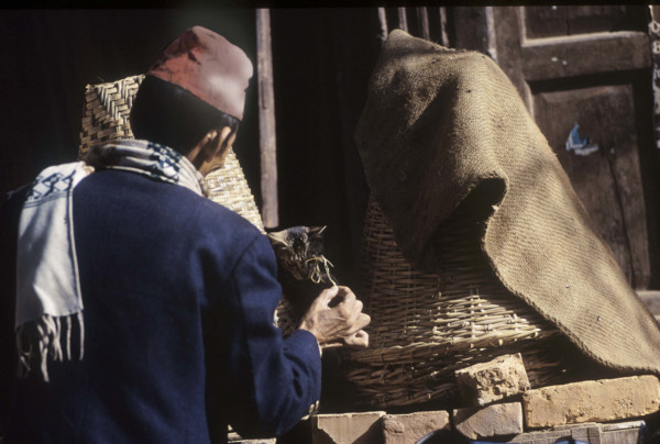 Nepali man playing with cat. Kathmandu, Nepal