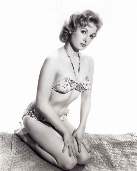 Sonia Hamilton