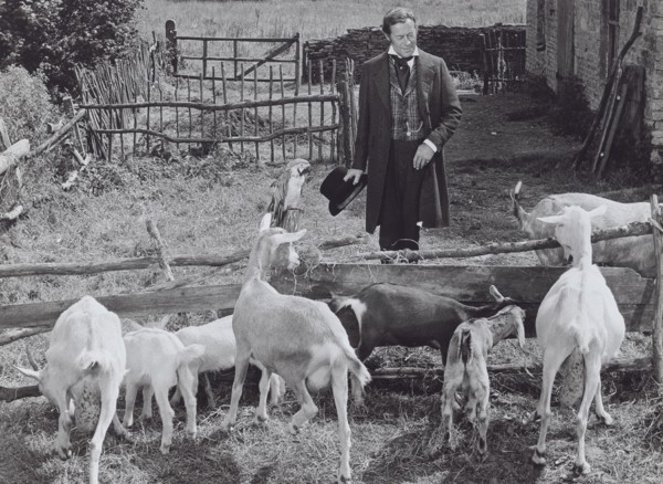 Doctor Dolittle
