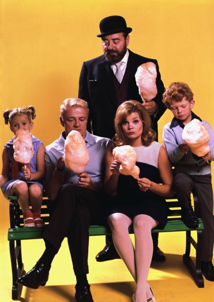 Family Affair Tv