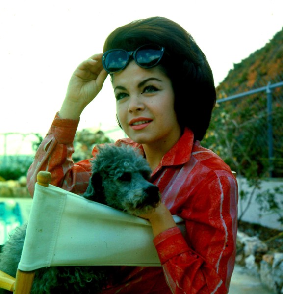 Annette Funicello Flat Eric