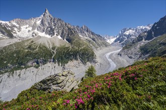 BRK21A65_115.JPG