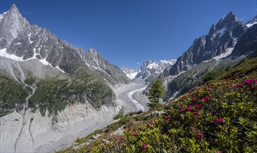 BRK21A65_297.JPG