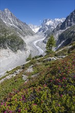 BRK21A66_004.JPG