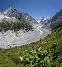 BRK21A66_011.JPG