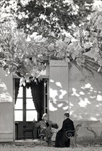 FRN03049_125.JPG
