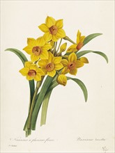 HBK05280_204.JPG