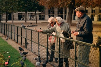 Personnes donnant à manger aux oiseaux dans les Jardins du Palais Royal