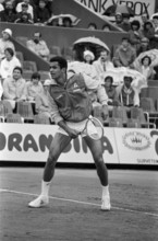 Yannick Noah, Roland Garros 1984