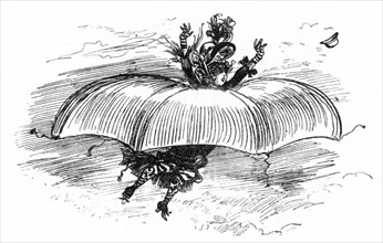 Parachute, illustration by Robida