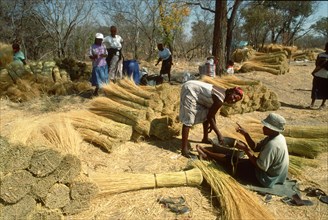 Ladies collecting thatching grass
\n