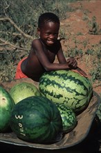 Watermelon boy
\n