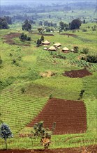 TERRACED FARMLANDS, DEMOCRATIC REPUBLIC OF CONGO