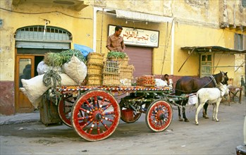 HORSES AND VEGETABLE CART IN KARMOUS QUARTER,ALEXANDRIA, EGYPT