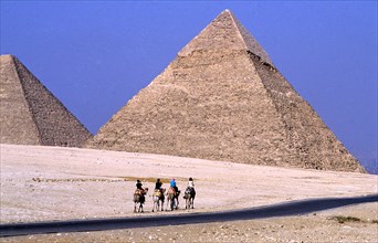 CAMELS AND GIZA PYRAMIDS, EGYPT