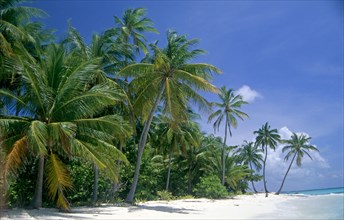 BEACH SCENE, MEERU, MALDIVES