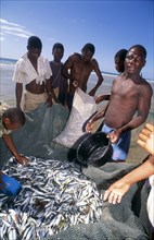 SARDINES AND FISHERMEN, MOZAMBIQUE