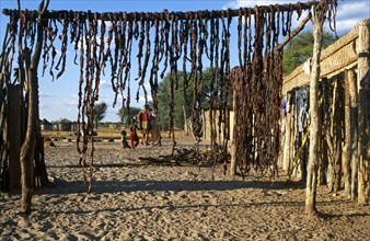 KUDUMANE VILLAGE, BOTSWANA