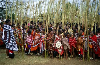 SWAZI PEOPLE WITH REEDS, SWAZILAND