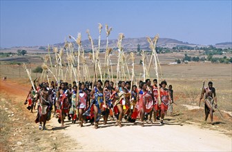 SWAZI MAIDENS, UMHLANGA REED DANCE, SWAZILAND