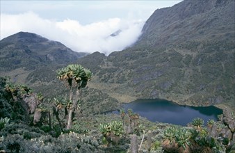 LAKE KITANDARA, RUWENZORI NATIONAL PARK, UGANDA