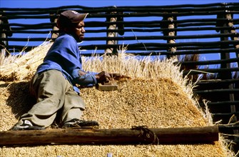 Thatching