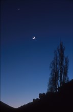 sickle moon and a star