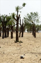 El Geneina in West Darfur on June 10, 2004. (Photo by Christine Nesbitt)