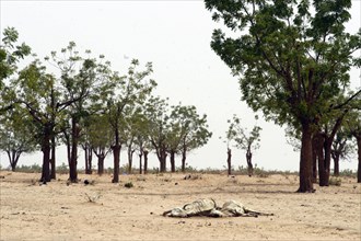 El Geneina in West Darfur on June 10, 2004. (Photo by Christine Nesbitt)