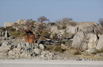 Kubu Island. Magadigadi Pans