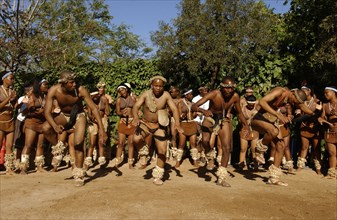 Mogwana Traditional Dance Group
\n