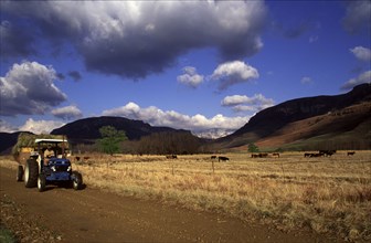 tractor