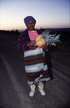 Pineapple seller by the road side