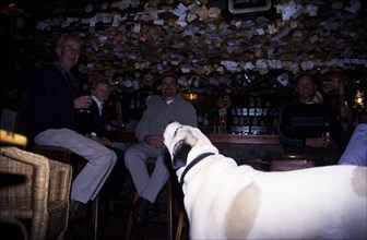 Maluti Mountain Lodge - Howling dog