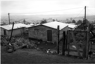 RDP houses in Mpophomeni township