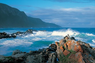 THE STORMS RIVER MOUTH