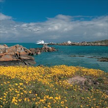 JACOBSBAAI