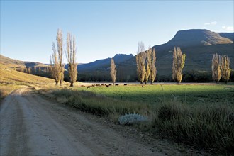 EASTERN CAPE COUNTRYSIDE