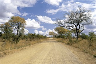 KRUGER NATIONAL PARK