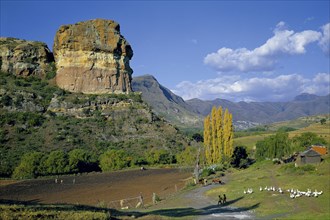 SANDSTONE FORMATIONS