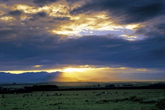 WINTERTON AT SUNSET