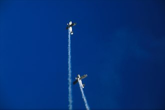 Shurlok Aerial Acrobatic team