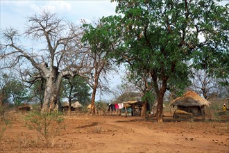 Dust of drought in Zambezi Valley