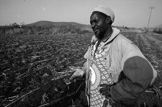 Resettled farmer